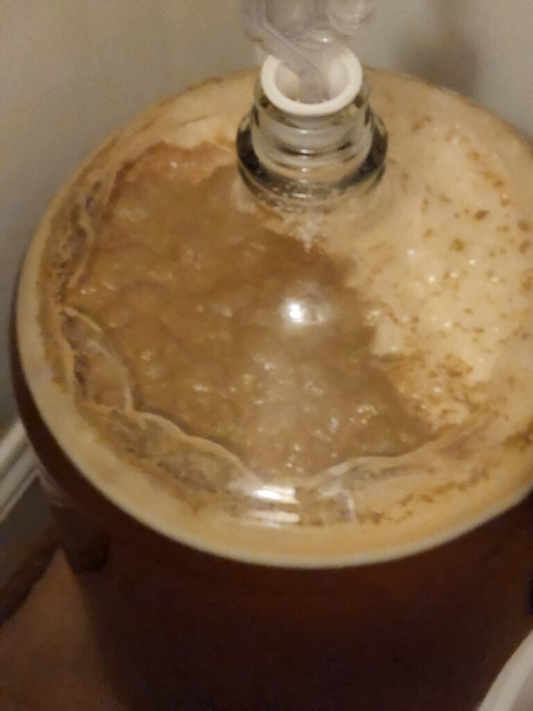 A six-gallon glass carboy filled with freshly brewed pumpkin ale, fermenting in a home brewery.